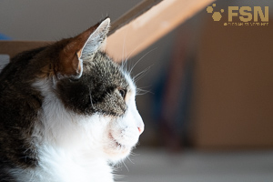 Vorschau von DSC00565.jpg