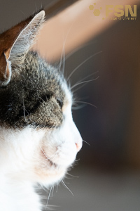 Vorschau von DSC00571.jpg