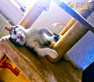 Vorschau von rps20200318_100218~2.jpg