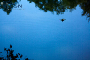 Vorschau von IMG_8045.jpg