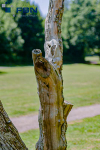 Vorschau von IMG_8051.jpg