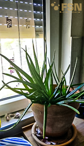 Vorschau von IMG_20190629_184707~2.jpg