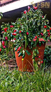 Vorschau von IMG_20210810_181056~2.jpg