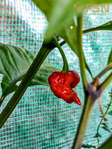 Vorschau von rps20190402_203928.jpg