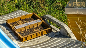 Vorschau von IMG_20200919_115656.jpg