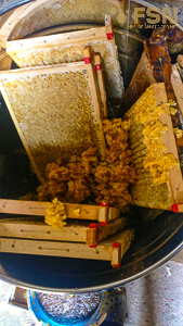 Vorschau von IMG_20210821_164551.jpg