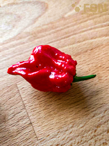 Vorschau von rps20180421_202838.jpg