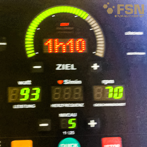 Vorschau von rps20190613_174344.jpg