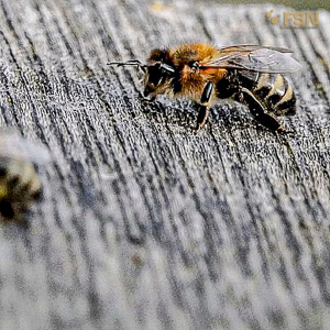 Vorschau von IMG_20220321_170852_582.jpg