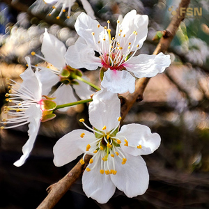 Vorschau von IMG_20220328_110910_101.jpg