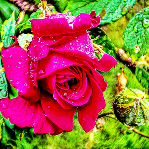 Vorschau von IMG_20220523_125033_811.jpg