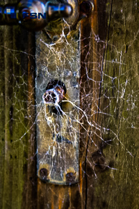 Vorschau von IMG_2583wtmk.jpg