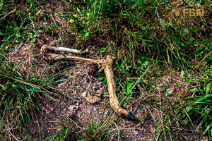 Vorschau von IMG_8201-HDR.jpg