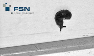 Vorschau von IMG_1391wtmk.jpg