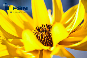 Vorschau von IMG_1645wtmk.jpg