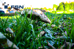 Vorschau von IMG_2610wtmk.jpg