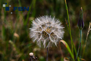 Vorschau von IMG_4777wtmk.jpg