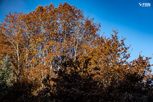 Vorschau von _DSC1868.jpg