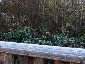 Vorschau von _DSC1881_3.jpg