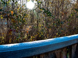 Vorschau von _DSC1888_2.jpg