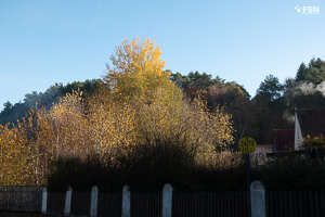 Vorschau von _DSC1920.jpg